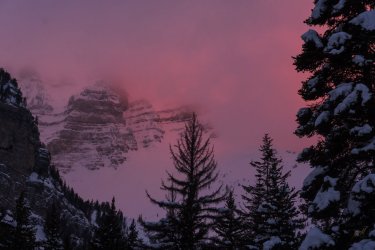 RCM00135-Wanderings 2023-230128-37.jpg