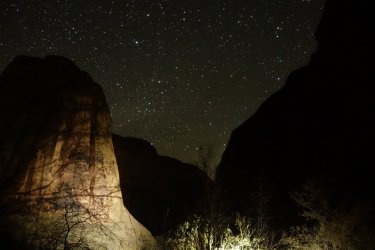 Poison Ivy Night.jpg