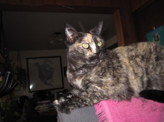 IMG_0136.JPG IMG_0136.JPG