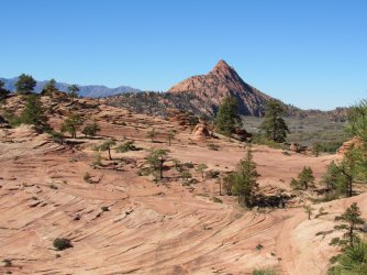 IMG_0839.JPG IMG_0839.JPG