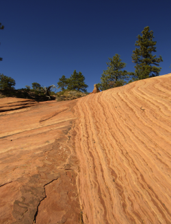 1676856486495.png 1676856486495.png