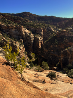 1676857610526.png 1676857610526.png