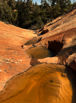 1676857752812.png 1676857752812.png