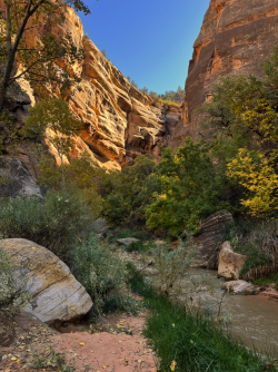 1676857969698.png 1676857969698.png