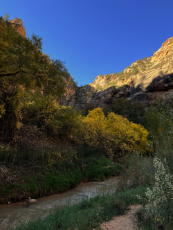 1676858002255.png 1676858002255.png