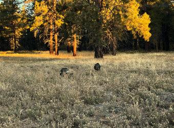 1676864585797.png 1676864585797.png