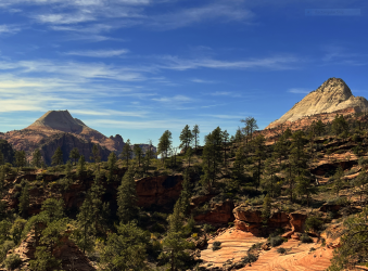 1676864763577.png 1676864763577.png