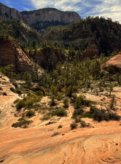 1676864796556.png 1676864796556.png