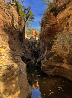 1676864863595.png 1676864863595.png