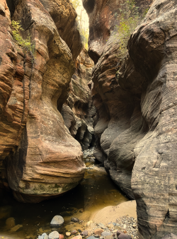 1676864907431.png 1676864907431.png