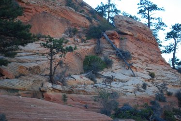 DSC_0175.JPG DSC_0175.JPG