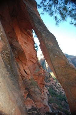 DSC_0181.JPG DSC_0181.JPG