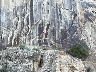 5F17B4CB-7688-4D95-BAD4-1094F195545A.jpeg 5F17B4CB-7688-4D95-BAD4-1094F195545A.jpeg