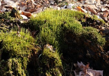 0O7A1553.JPG 0O7A1553.JPG