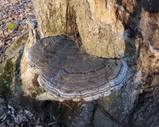 0O7A1560.JPG 0O7A1560.JPG