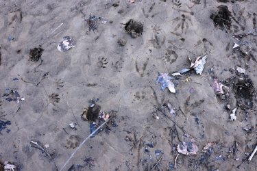 0O7A1565.JPG 0O7A1565.JPG