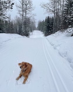 IMG_0234-copy-2.jpg IMG_0234-copy-2.jpg