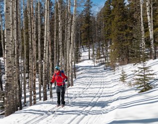 P1010208-copy.jpg P1010208-copy.jpg