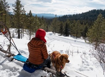 P1010213-copy-2.jpg P1010213-copy-2.jpg