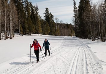 P1010248-copy-2.jpg P1010248-copy-2.jpg