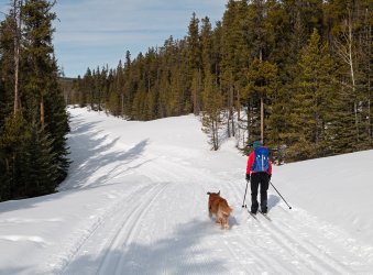 P1010249-copy-2.jpg P1010249-copy-2.jpg