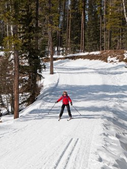 P1010251-copy-2.jpg P1010251-copy-2.jpg