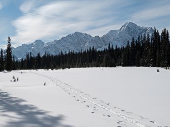 P1010257-copy-2.jpg P1010257-copy-2.jpg