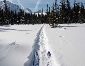 P1010305-copy-2.jpg P1010305-copy-2.jpg