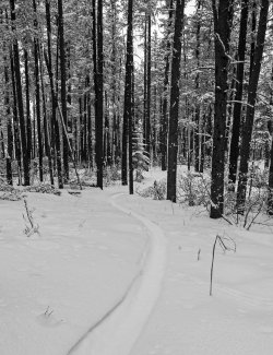 P1010186-copy-2.jpg P1010186-copy-2.jpg