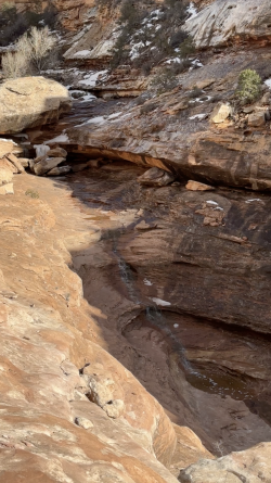 Screen Shot 2023-03-21 at 9.13.31 AM.png