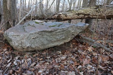 0O7A1602.JPG 0O7A1602.JPG