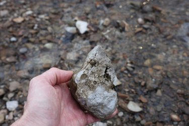 0O7A1611.JPG 0O7A1611.JPG