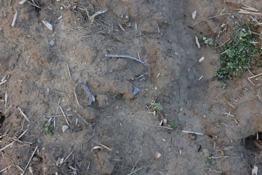 0O7A1612.JPG 0O7A1612.JPG