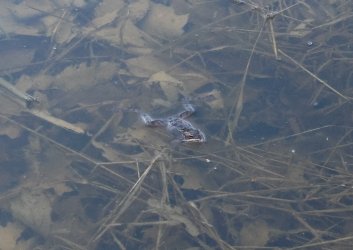 0O7A1622.JPG 0O7A1622.JPG