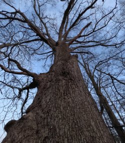 GOPR0511.JPG GOPR0511.JPG