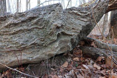 0O7A1603.JPG 0O7A1603.JPG