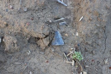 0O7A1613.JPG 0O7A1613.JPG