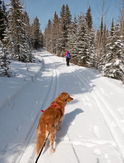 P1010321-copy-2.jpg P1010321-copy-2.jpg