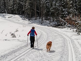 P1010328-copy-2.jpg P1010328-copy-2.jpg