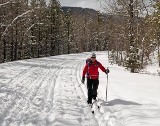 P1010333-copy-2.jpg P1010333-copy-2.jpg