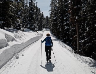 P1010339-copy-2.jpg P1010339-copy-2.jpg