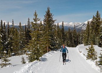 P1010343-copy-2.jpg P1010343-copy-2.jpg