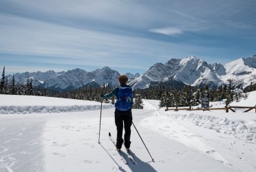 P1010347-copy-2.jpg P1010347-copy-2.jpg