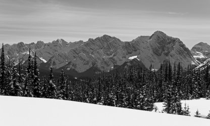 P1010366-copy-2.jpg P1010366-copy-2.jpg