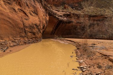 RCM01156-Coyote G 3-2023-230322-122.jpg