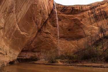 RCM00839-Coyote G 3-2023-230321-68.jpg