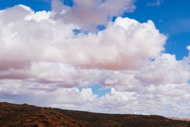 RCM01278-Coyote G 3-2023-230323-125 (1).jpg