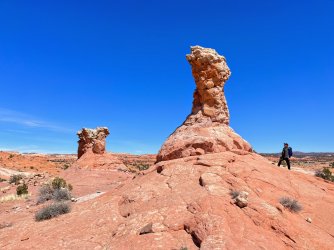 078915AF-D75A-4770-BAD7-F96791FCFFC7.jpeg 078915AF-D75A-4770-BAD7-F96791FCFFC7.jpeg