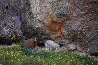 wind-rivers-nilauro-markus-20130707-IMG_0329.jpg wind-rivers-nilauro-markus-20130707-IMG_0329.jpg