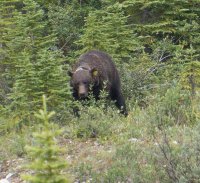 DSC01514.jpg DSC01514.jpg